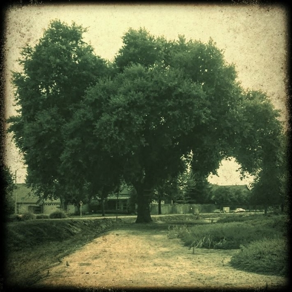 Meet your Posher, Erin - Picture 1 of 1